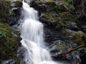 Cascade Falls, Fairfax, Marin County, CA