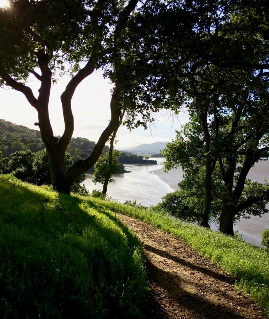 China Camp State Park - Natural Beauty in East San Rafael